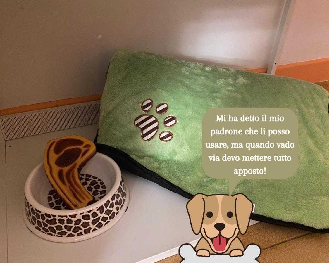 Coolarthome Parma Eksteriør billede